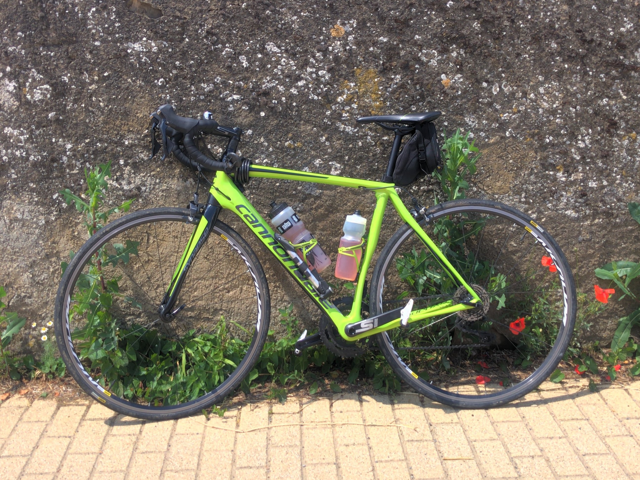 A bright green road bike leaning against a rough grey wall, with some poppies and varied weeds growing around it. She's carrying two water bottles and a small saddle bag. Melusina the bright green road bike